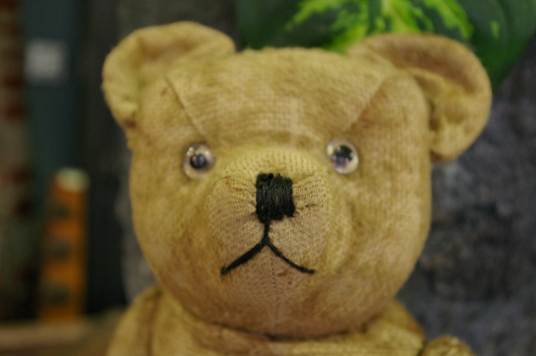 Ours En Peluche Ancien – 1925 – Rembourrage Paille De Bois – 76 Cm – France