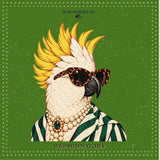 ALLUMETTES POUR OISEAUX SAUVAGES / ALLUMETTES