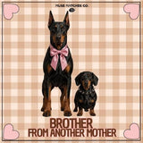 Allumettes Brother / Allumettes