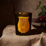 La Bougie Intermède Solis Rex Parquets de Versaillesr 270g