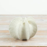 Vase naturel, 17 cm