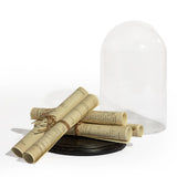 Dôme en verre / cloche avec rouleaux de papier sur socle noir