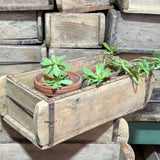 Boîte bois moule à brique