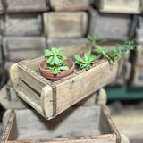 Set of 10 pieces Wooden box brick mold