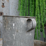 Pot en zinc, ideal cache pot plante petit modele