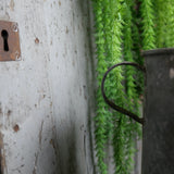 Pot en zinc, ideal cache pot plante petit modele