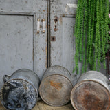 Pot en zinc, ideal cache pot plante petit modele