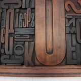 tableau ancien caractere d'imprimerie 2