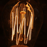 lot de 2 ampoules filament de carbonne facon Thomas Edison neuve ampoule longue