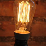 lot de 2 ampoules filament de carbonne facon Thomas Edison neuve ampoule longue