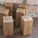 lot de 2 ampoules filament de carbonne facon Thomas Edison  ampoule ronde neuve