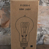 lot de 2 ampoules filament de carbonne facon Thomas Edison  ampoule ronde neuve