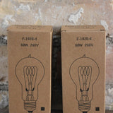 lot de 2 ampoules filament de carbonne facon Thomas Edison  ampoule ronde neuve