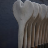 complete balloon mold