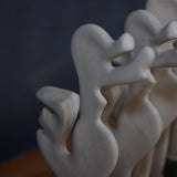 complete balloon mold