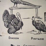 Ancienne affiche scolaire double face: Les oiseaux