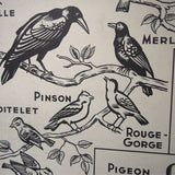 Ancienne affiche scolaire double face: Les oiseaux