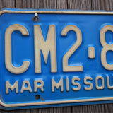 Vintage American license plate. USA