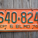 Ancienne plaque d'immatriculation americaine . Vintage USA