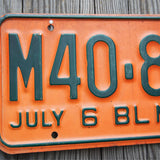 Ancienne plaque d'immatriculation americaine . Vintage USA