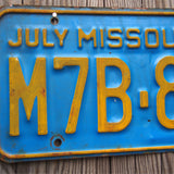 Ancienne plaque d'immatriculation americaine . Vintage USA