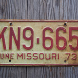 Ancienne plaque d'immatriculation americaine . Vintage USA