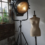 rare tres grand projecteur cinema cremer 10k pied cinema cremaillere