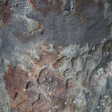 Former large industrial foundry crucible, ideal planter