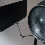 rare tres grand projecteur cinema cremer 2k pied roulette