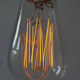 Ferrowatt ampoule edition 1910 N filament de carbonne facon Thomas Edison neuve