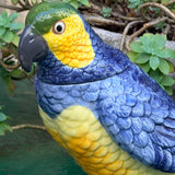 Bocal/vaste en céramique perroquet jaune et bleu