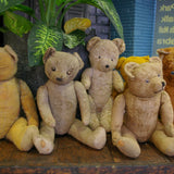 Ours en peluche ancien interieur paille