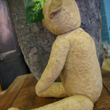 Ours en peluche ancien interieur paille