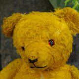 Ours en peluche ancien interieur paille