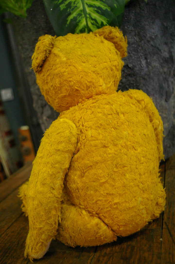 ANCIEN OURS EN peluche rembourré en paille de bois ( excelsior ) début XX siècle EUR 40,00 - FR ANCIEN OURS EN peluche rembourré en paille de bois ( excelsior ) début XX siècle EUR 40,00 - FR