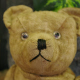 Ours en peluche ancien interieur paille