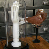 Industrial mold for the manufacture of porcelain gloves under glass domes