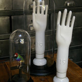 Industrial mold for the manufacture of porcelain gloves under glass domes