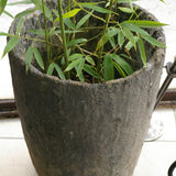 Ancien grand creuset de fonderie industrielle, ideal cache pot