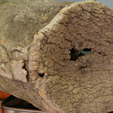 Ancienne ruche en liege pour l'elevage des abeilles