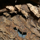 Ancienne ruche en liege pour l'elevage des abeilles