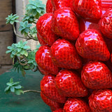Vase en céramique extra large aux multiples fraises