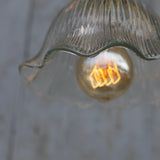 1 Holophane industrial workshop pendant lampshade