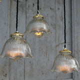 1 Holophane industrial workshop pendant lampshade