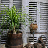 ancienne baratte a beurre, ideal cache pot