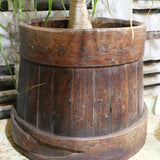 ancienne baratte a beurre, ideal cache pot