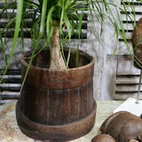 ancienne baratte a beurre, ideal cache pot