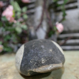 Wooden duck decoy for hunting / ref 9