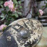 Wooden duck decoy for hunting / ref 9