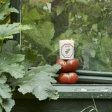 Bougie Tomate Carrière Frères